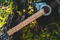 classical black guitar on green grass