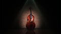 Classical contrabass Royalty Free Stock Photo