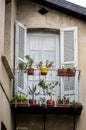 Classical decorated french window with flowers