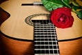 Classical guitar and rose. Royalty Free Stock Photo