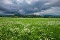 Classical hungarian landscape of Balaton Highlands, Kali-Basin, Hungary Royalty Free Stock Photo