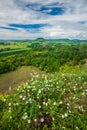 Classical hungarian landscape of Balaton Uplands, Kali-Basin, Hungary Royalty Free Stock Photo