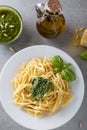 Classical italian trofie pasta with pesto sauce