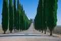 Classical Italian villa with Cypress Evergreen Trees in Tuscany's countryside
