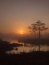 Classical marsh landscape, early morning Royalty Free Stock Photo