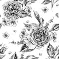 Classical Monochrome Watercolor Vintage Floral Seamless Pattern