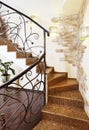 Classical mosaic stairs with ornamental handrail in hallway with