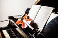 Classical music concept Royalty Free Stock Photo