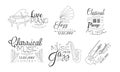 Classical Music Concert Hand Drawn Badges Set, Jazz Festival, Live Piano Monochrome Vector Illustration Royalty Free Stock Photo