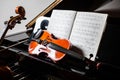 Classical music scene Royalty Free Stock Photo