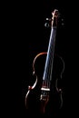 Classical music violin isolated