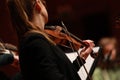 Classical music. Violinists in concert. Stringed, violinist. Closeup of musician playing the violin during a symphony Royalty Free Stock Photo