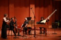 Classical music. Violinists in concert. Stringed, violinist.Closeup of musician playing the violin during a symphony