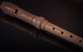 Classical musical instrument is the block flute on black background Royalty Free Stock Photo