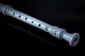 Classical musical instrument is the block flute on black background Royalty Free Stock Photo