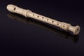 Classical musical instrument is the block flute on black background Royalty Free Stock Photo