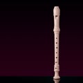 Classical musical instrument is the block flute on black background Royalty Free Stock Photo