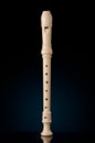 Classical musical instrument is the block flute on black background. Royalty Free Stock Photo