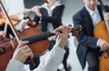 Classical orchestra string section performing Royalty Free Stock Photo