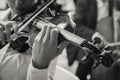 Classical orchestra string section performing Royalty Free Stock Photo