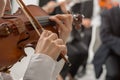 Classical orchestra string section performing Royalty Free Stock Photo