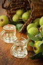 Classical pear liquor made of European wild pear Royalty Free Stock Photo
