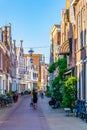 Classical red brick houses situated alongside Groot Heiligland street in Haarlem, Netherlands