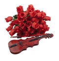 Classical Red Roses and Violin Royalty Free Stock Photo