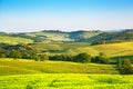 Classical rural landscape in Tuscany Royalty Free Stock Photo