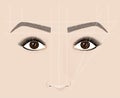 Classical shape of eyebrows. Microblaining and permanent make-up. The scheme of the correct construction. Royalty Free Stock Photo