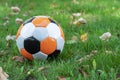 Classical soccerball on a green grass. Old soccer (football) ball on green field. Royalty Free Stock Photo