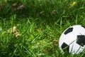 Classical soccerball on a green grass. Old soccer (football) ball on green field. Royalty Free Stock Photo