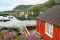 Norway scenery