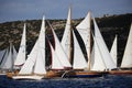 Classical, traditional wooden yachts are sailing in Bodrum for Bodrum Cup.