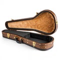 Classical violin case on white background Royalty Free Stock Photo