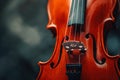 Classical violin close up detail Royalty Free Stock Photo