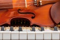 classical violin on white and black piano keys close-up background Royalty Free Stock Photo