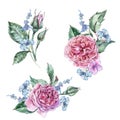 Classical Watercolor Set of Vintage Floral Elements, Watercolor