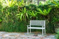 Classical white bench in beautiful tropical garden - green nature