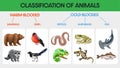 Classification Of Animals Infographic