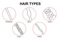 Classification hair types, straight, wavy, curly, coily, kinky Royalty Free Stock Photo