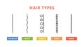 Classification of hair types - straight, wavy, curly, coily, kinky. Scheme of different types of hair. Curly girl method Royalty Free Stock Photo