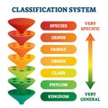 Classification system vector illustration. Labeled taxonomic rank scheme. Royalty Free Stock Photo