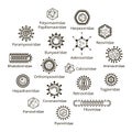 Classification of viruses. Royalty Free Stock Photo