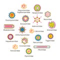 Classification of viruses. Royalty Free Stock Photo