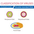 Classification of viruses. Enveloped viruses. Royalty Free Stock Photo