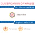 Classification of viruses. Royalty Free Stock Photo