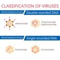 Classification of viruses. Nonenveloped viruses. Royalty Free Stock Photo