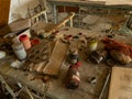 Classroom in the abandoned school in Pripyat. Chernobyl Exclusion Zone. Ukraine. Royalty Free Stock Photo