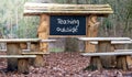 A classroom in the forest. Royalty Free Stock Photo